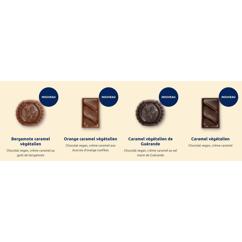 Ballotin de chocolats Vegan