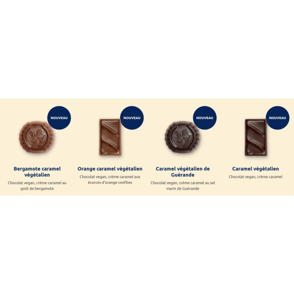 Ballotin de chocolats Vegan